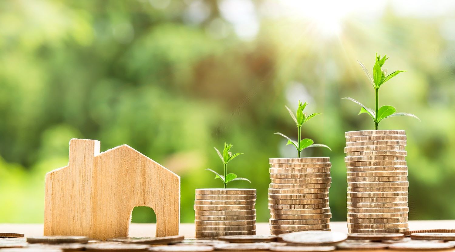 pourquoi-investir-thouaré-sur-loire