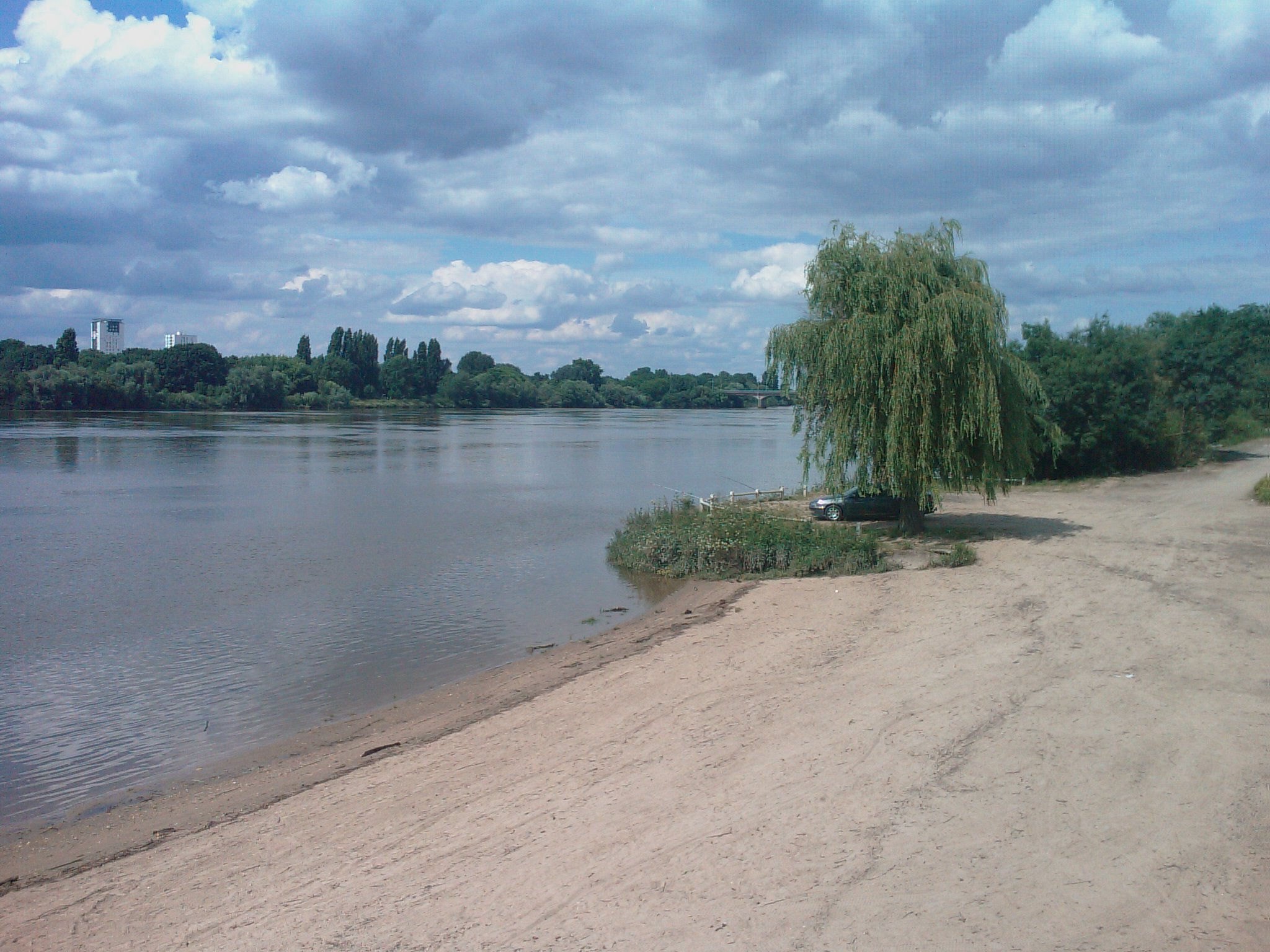 Immobilier Saint Sebastien sur Loire. Bord de Loire à st Sébastien. Plage de sable devant la Loire avec un arbre