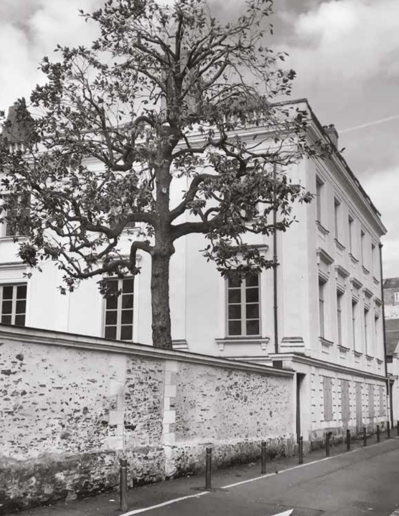 programme monument historique-batiement ancien rue