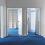 investir en immobilier-vue de l'appartement vide moquette bleue murs blancs