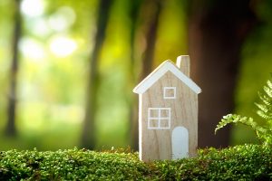 immobilier écologique-foret-maison en bois