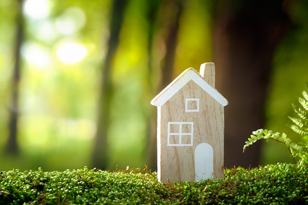 immobilier écologique-foret-maison en bois